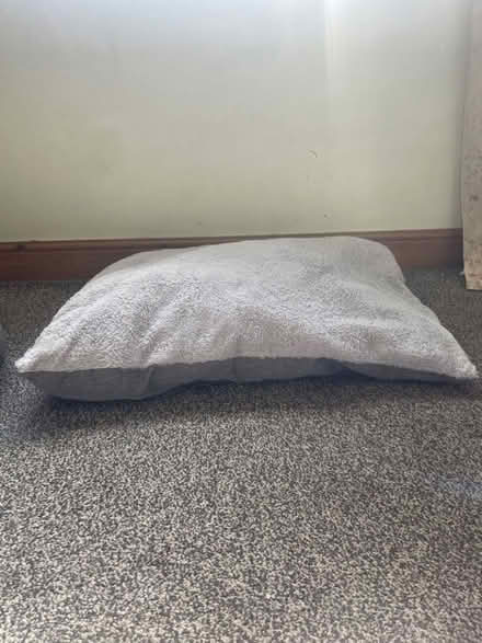 Photo of free Pet Pillow (Cullingworth BD13) #2