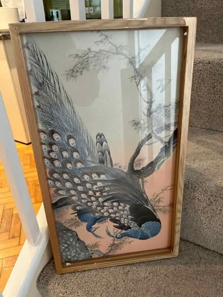 Photo of free Frame/Photo (AL1) #1