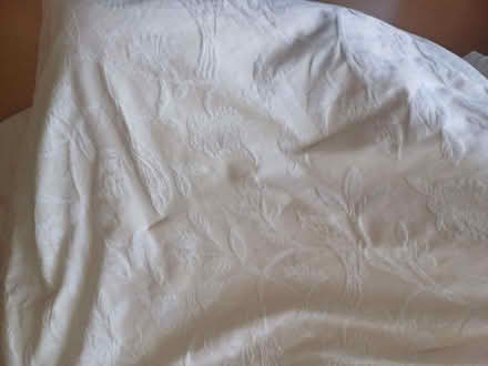 Photo of free Bed throw (Sutton Farm SY2) #1