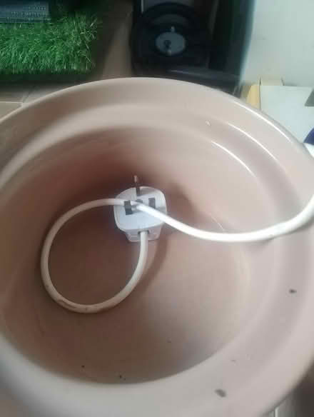 Photo of free Small slow cooker (PO12) #1