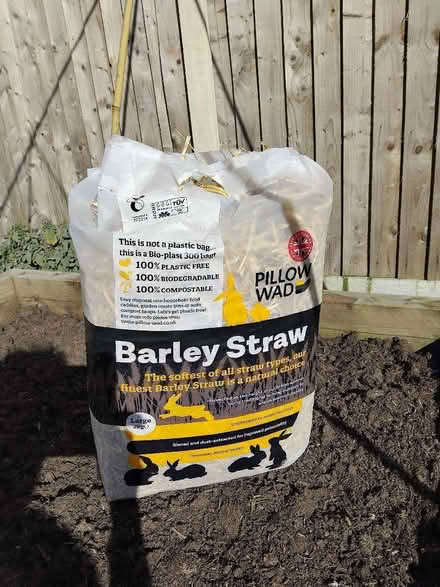Photo of free Barley straw (Barnard's Green WR14) #1