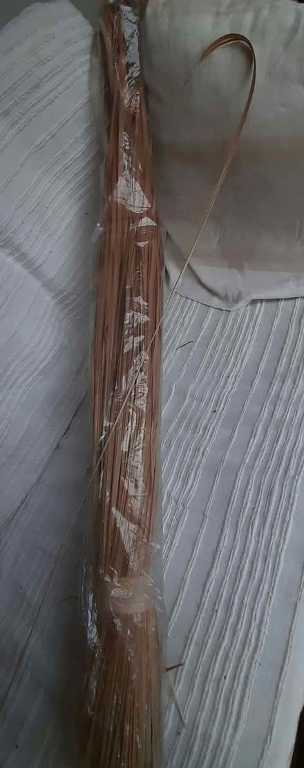 Photo of free Ornamental grass 75cm plus (Thorpe St Andrew NR7) #1