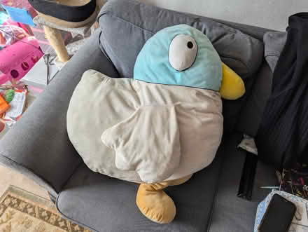 Photo of free A Giant "Duck" (Temple Rhydding BD17) #1