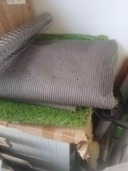 Photo of free Artificial grass (PO12) #1