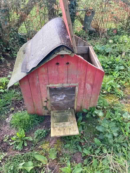 Photo of free Chicken houses HR2 (Herefordshire HR2) #4