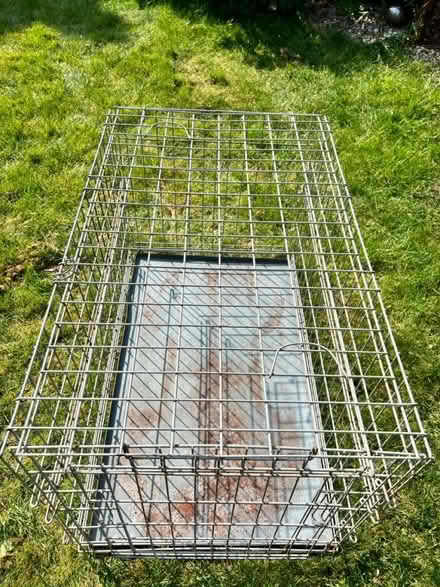 Photo of free Dog crate (Colchester CO4) #2