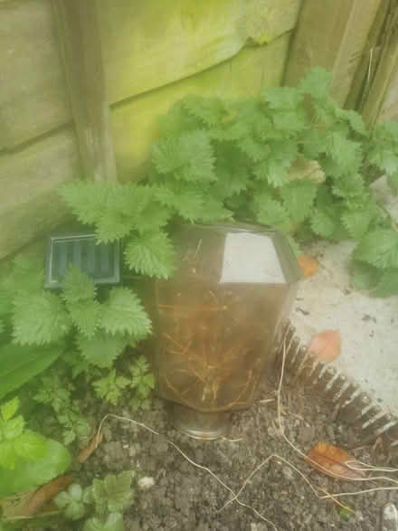 Photo of free Solar lights string (Ore TN35) #1