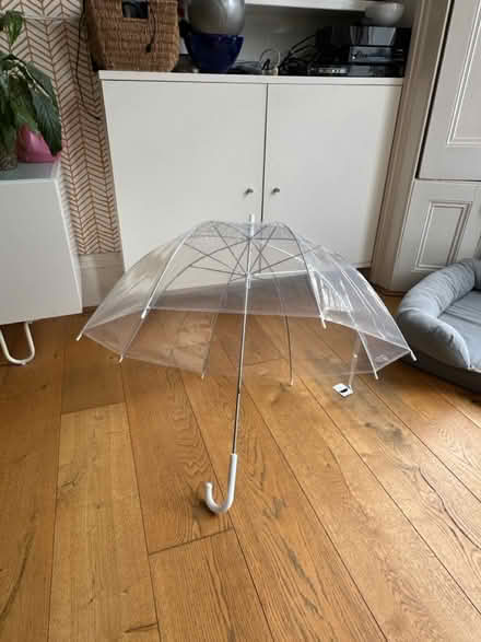 Photo of free See-through umbrella- unused (W8, Kensington) #1