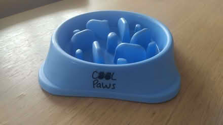 Photo of free Cat/dog feeding bowl (Harrogate HG2) #1