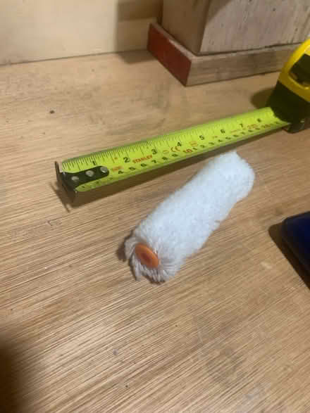 Photo of free Mini Roller (CR2) #1