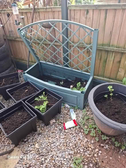 Photo of free Green box (Westgate LA4) #1