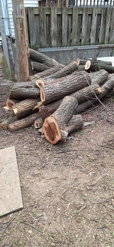 Photo of free Wood logs (Washington DC) #2