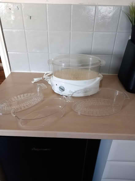 Photo of free Electric 3 teir steamer (Cardonald G52 1RH) #2