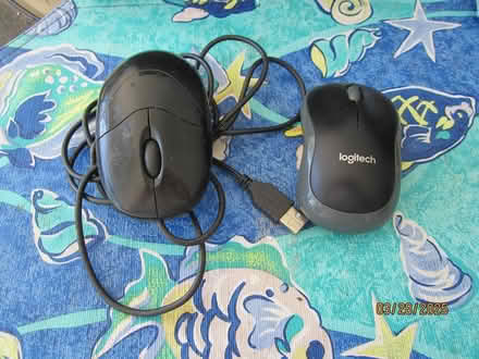 Photo of free computer mouse (2) (Pinellas Park 33781) #1