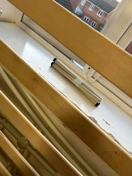 Photo of free Single bed (Bechstein meadow BA14) #1