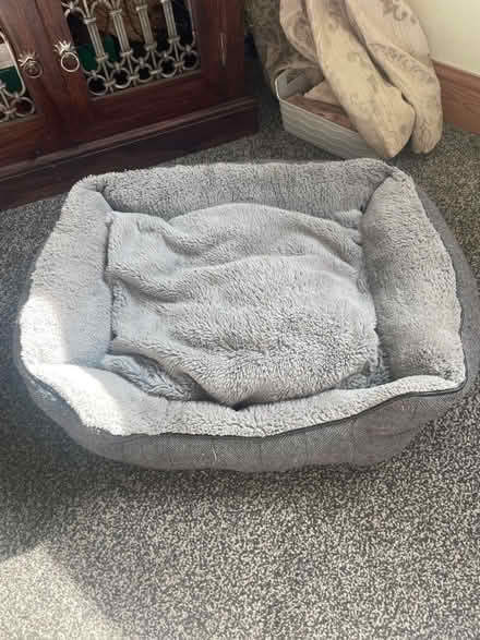 Photo of free Pet Bed (Cullingworth BD13) #1