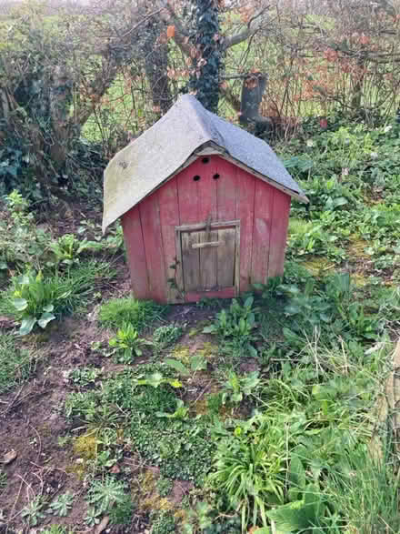 Photo of free Chicken houses HR2 (Herefordshire HR2) #1