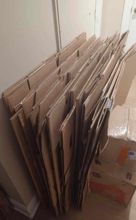 Photo of free 20+ Medium Moving Boxes (Chinatown) #1