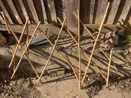 Photo of free 3 garden trellis (Southend-on-sea SS1) #4