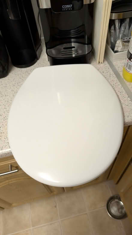 Photo of free White Toliet Seat (Sterilised & Clean) (Belle Vue WF1) #2