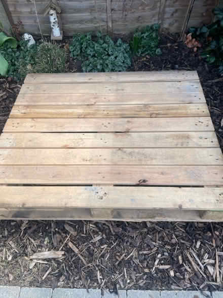 Photo of free Pallet (ashford) #1