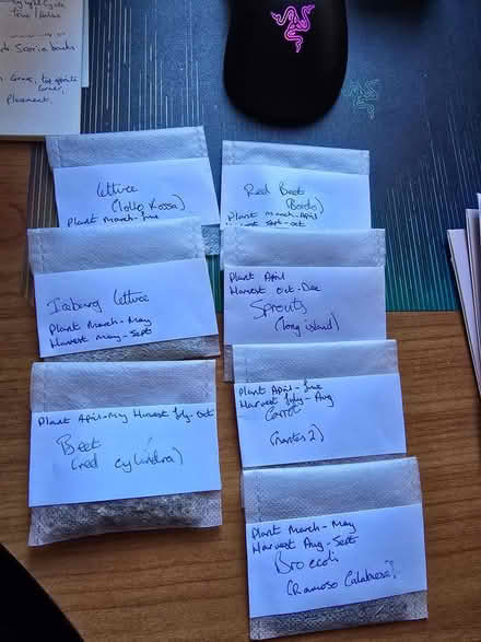 Photo of free Vegetable seeds (Nuneaton CV10) #1
