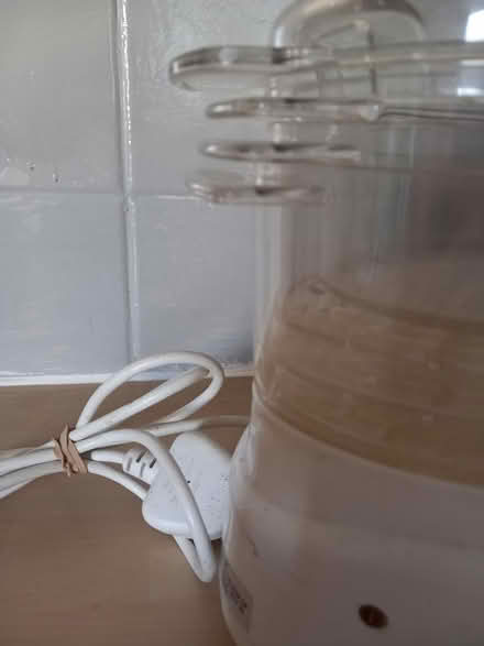 Photo of free Electric 3 teir steamer (Cardonald G52 1RH) #3