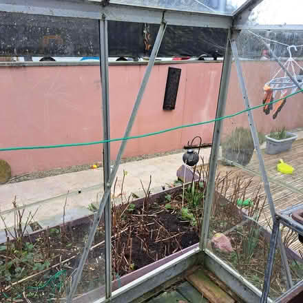 Photo of free Glass greenhouse (camborne cornwall) #3