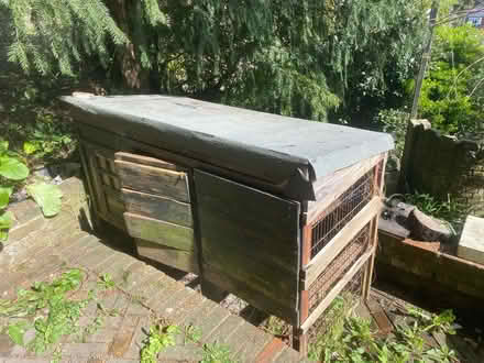 Photo of free Chicken hutch (BN1 Fiveways) #1