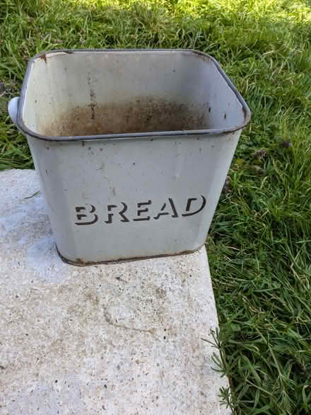 Photo of free Planter (City Centre NR3) #1