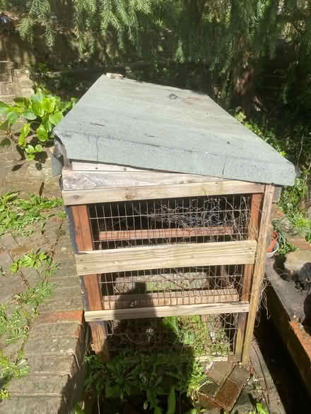 Photo of free Chicken hutch (BN1 Fiveways) #3