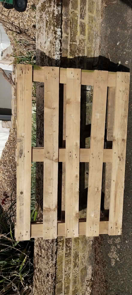Photo of free Two pallets (Central Watford WD17) #1