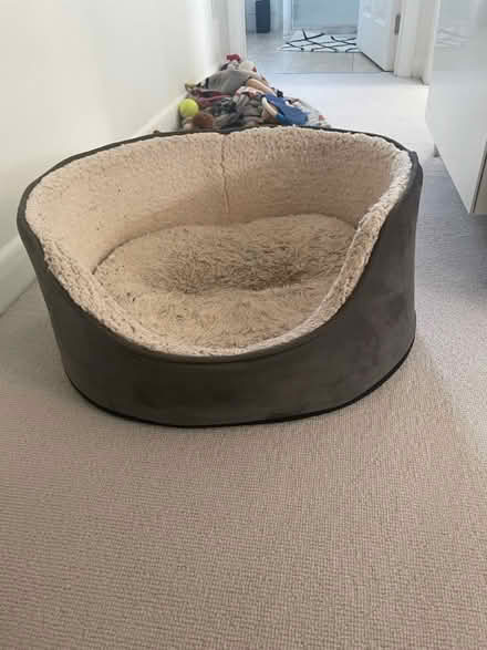Photo of free Dog bed (Wimbledon Village) #2
