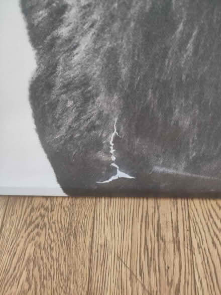 Photo of free Stag canvas (Cowcliffe HD2) #2