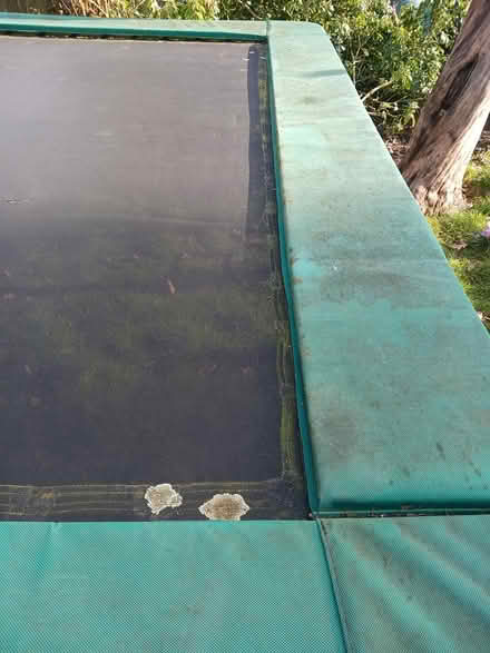 Photo of free Trampoline (Shortlands) #4