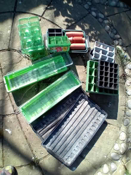 Photo of free Seed growing stuff (Hatfield Peverel CM3) #1