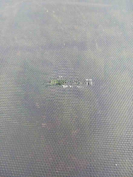 Photo of free Trampoline (Shortlands) #3