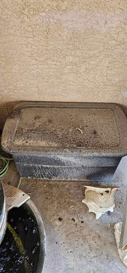 Photo of free Arizona Worm Farm Garden Soil (Awhatukee Foothills) #2
