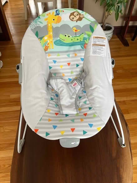 Photo of free Animal theme Infant Seat (McKellar) #1