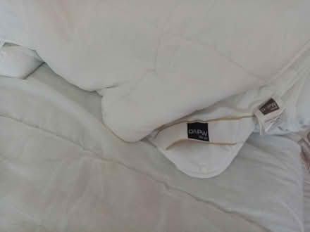 Photo of free 2 x King size duvets (Emsworth PO10) #1