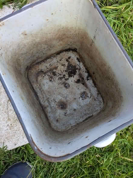 Photo of free Planter (City Centre NR3) #3