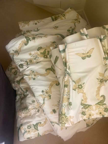 Photo of free Curtains - full length (Canford Cliffs BH13) #2