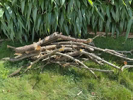Photo of free Wood for burning (Poole BH14) #1