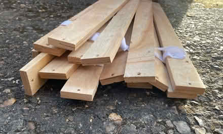 Photo of free Slats from single bed (Rainham, Kent) #2
