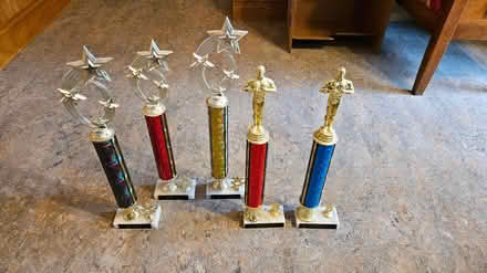 Photo of free 5 Trophies (63124, near STL Galleria) #1