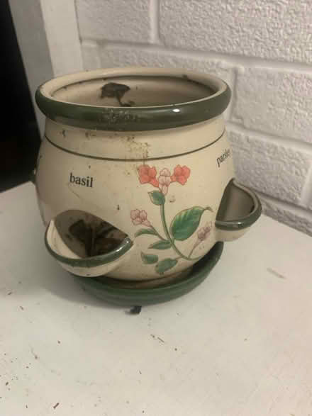 Photo of free Strawberry/herbs planter (GU12) #1