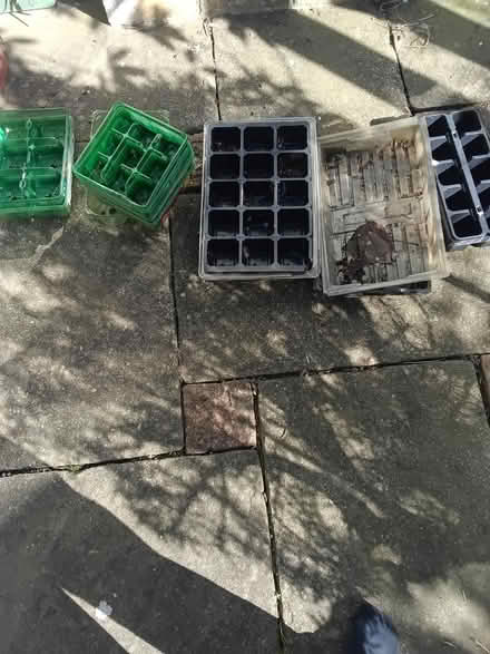 Photo of free Plant containers (N17 turnpike lane) #1