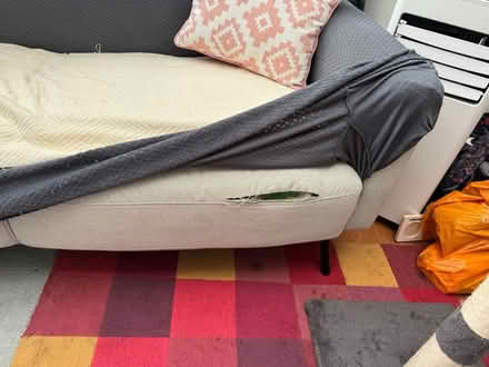 Photo of free 3 seater sofa (Shenley WD7) #2