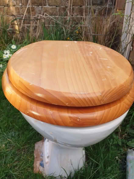 Photo of free Toilet with wooden seat and cistern (Eastbourne BN21) #1