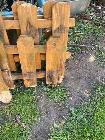 Photo of free Wooden Picket Fences (Denvilles Havant) #2